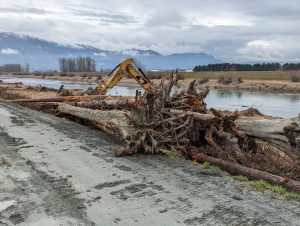 Logs are picked up from Chilliwack.